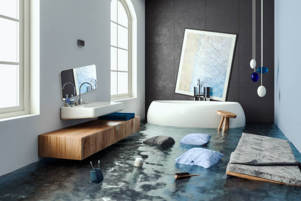 Best Water damage restoration process  in Painesville, OH