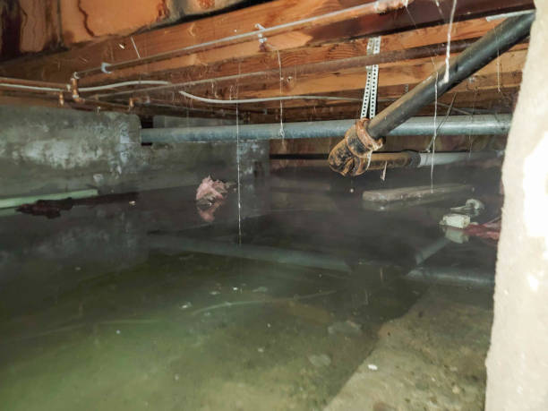 Best Water damage restoration near me  in Painesville, OH