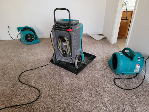 Best Emergency water damage restoration  in Painesville, OH