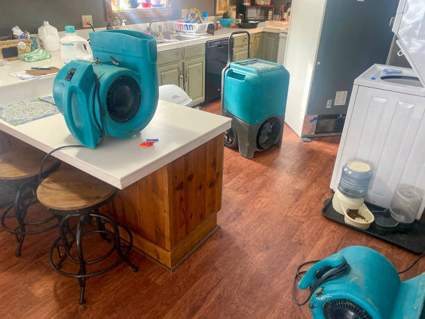Best Residential water damage restoration  in Painesville, OH