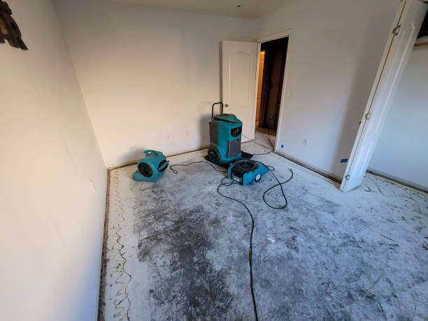 Best Water damage restoration insurance claims  in Painesville, OH