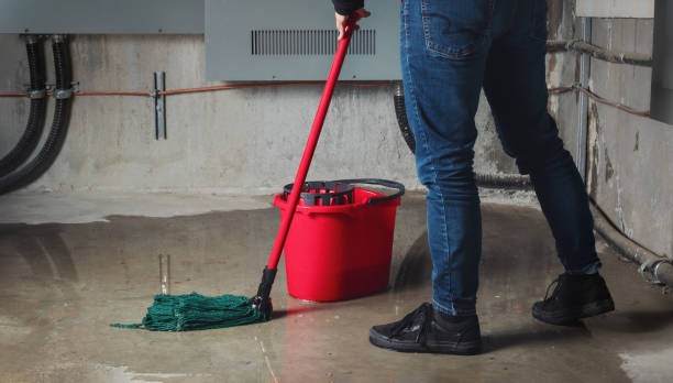Best Local water damage restoration  in Painesville, OH