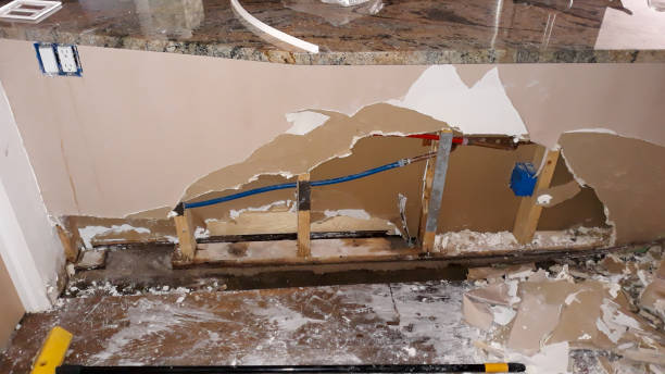 Best Ceiling water damage repair  in Painesville, OH