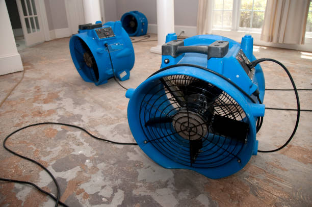 Best Commercial water damage restoration  in Painesville, OH