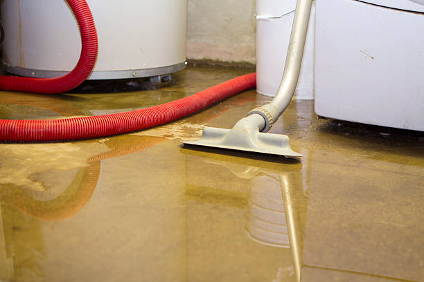 Best Local water damage restoration  in Painesville, OH