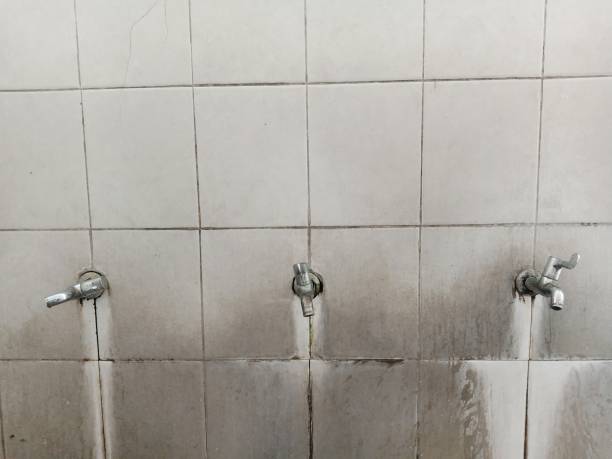 Best Water damage restoration near me  in Painesville, OH