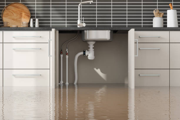 Best Flood restoration services  in Painesville, OH