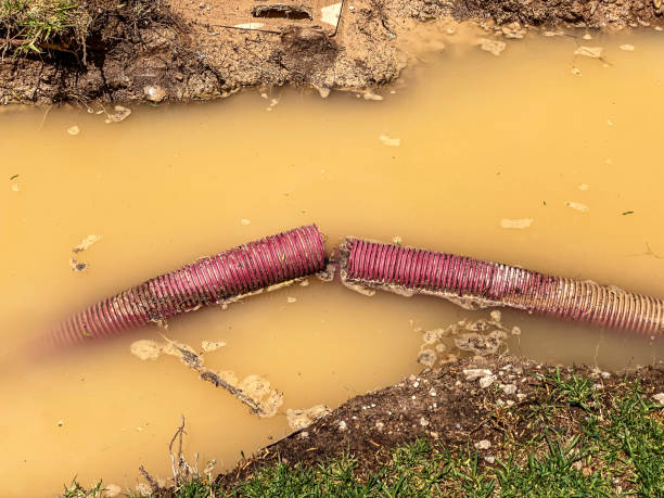 Best 24-hour water damage restoration  in Painesville, OH