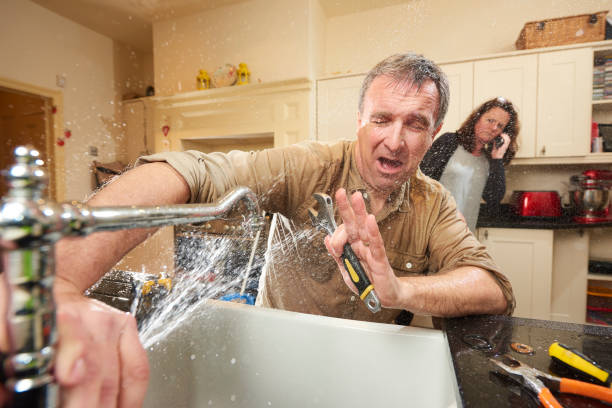 Best Basement water damage restoration  in Painesville, OH